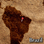 Brazil Daterra Sweet Collection